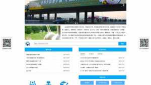 金乡网站推广软件
