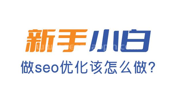 新手做seo怎么做?从哪些方面开始做?