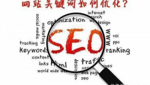 seo推广软件下载（seo推广软件品牌）