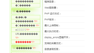 vivi 小偷镜像5.5（vivi小偷镜像）
