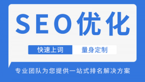 西安网站优化软件_西安网站优化常识