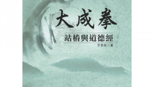 王珍清站桩音乐（王珍清站桩培训班在哪里）