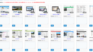 小霸王发展有限公司（小霸王公司）