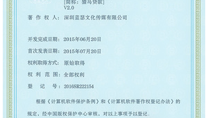 计算机软件版权登记网站有哪些（计算机软件版权保护）
