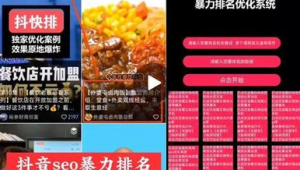 抖音seo帝搜软件最强技术（抖音seo排名帝搜软件怎么样）