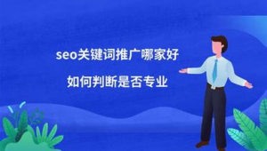 seo关键词写手（seo关键词推广哪个平台好）