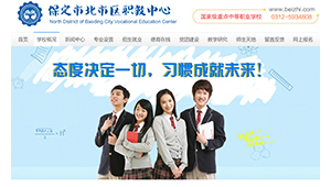 北京网站优化策略_北京网站制作优化