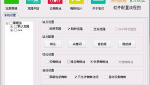 黑帽站群系统（黑帽门p站是什么软件）