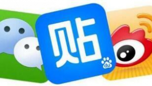 代站交流群（代做站群排名）