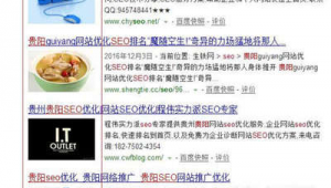 贵阳网站优化推广公司_贵阳seo排名优化