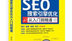 搜索引擎优化的技巧有哪些?_搜索引擎优化seo实操