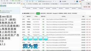 排名优化软件报价（真实有效的优化排名）
