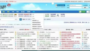 全网最大的软件（十大网站app排行榜）