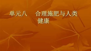 快手SEO优化排名_SEO优化排名前十