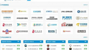 泸州网站建设(泸州网络信息服务app)