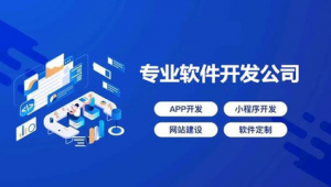 软件项目案例大全（软件项目工作方案）