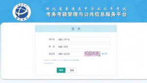 报名系统软件网站打不开（报名网站进不去）
