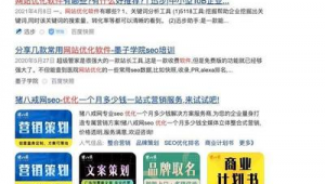 优化软件哪个好（国内优化软件）