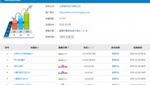 站群效果怎么样_站群现在还有效果吗