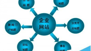 站群优化系统（群优化软件有哪些）