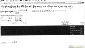 藏语网站软件有哪些(藏语网址)