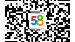 聊城站群网站建设（聊城本地网站）