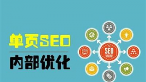 seo快速优化技术_seo快速优化软件推广方法