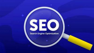 seo具体怎么优化seo技术蜘蛛屯_seo功能蜘蛛屯