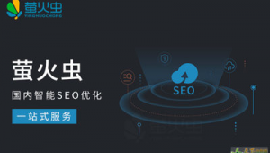 智能网站建设推荐（智能网站排名优化）