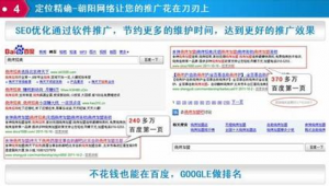 seo推广软件下载（seo在线自动推广）