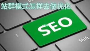 2021站群程序（站群优化系统）