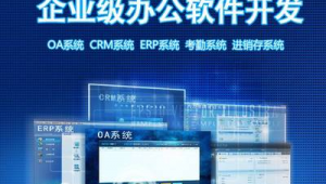 山东网站制作定制（山东专业网站开发公司）