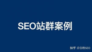 站群优化是什么意思（站群优化关键词）