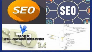 seo快速优化技术（seo免费优化软件）