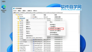 win11 优化软件