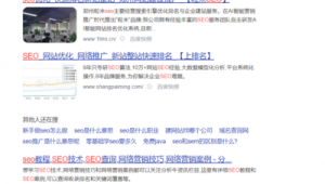 白帽seo还有出路么_白帽seo能有效果么