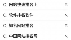 网站排名软件（网站排名有哪些）