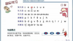 学习软件的网站（软件跟网站的区别）