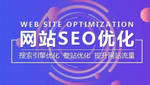 整站优化哪家好（整站优化要多少钱）