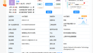 软件供需网站:搭建软件需求方与供应方高效对接的桥梁