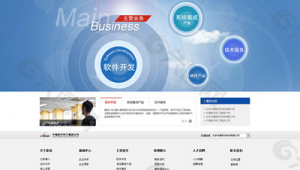 中国公司开发软件网站官网（开发软件公司排名）