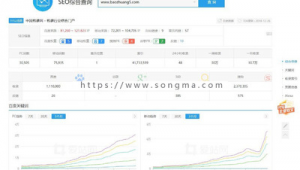 seo站群优化效果（seo站点）