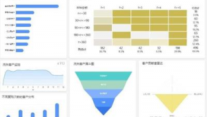 网站运营分析软件是什么（网站运营案例分析）