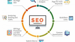seo排名优化软件有（seo公司运营）