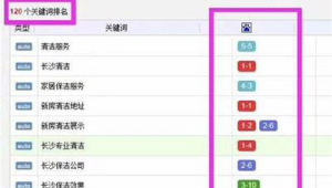 湖南专业seo推广（湖南sem优化哪家好）
