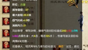九阴武学大全（九阴团战武学）