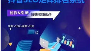 seo企业优化方案（seo专业优化公司）