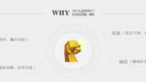 网站劫持工具下载（网站劫持什么意思）