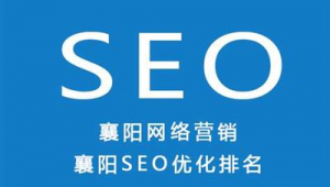 百度seoo优化软件（温州百度快速优化）