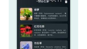 花卉识别的软件（花卉识别下载）